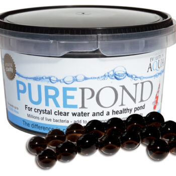 Pure Pond 2000ml Slow Release Bacteria Gell Balls