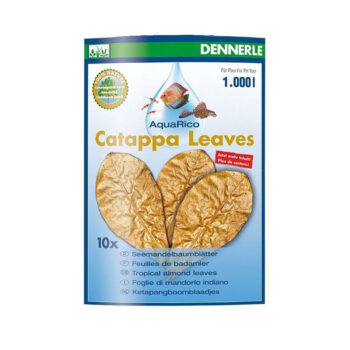 Catappa Leaves