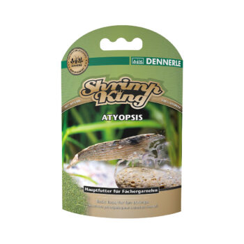 Shrimp King Atyopsis