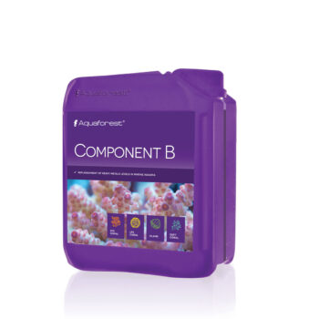 Component B 2000ml