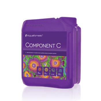 Component C 2000ml