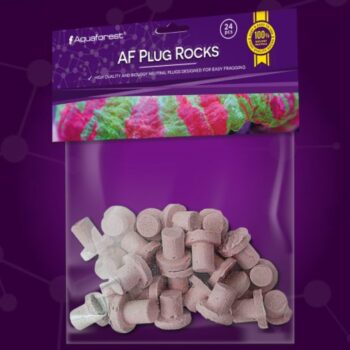 AF Plug Rocks Purple