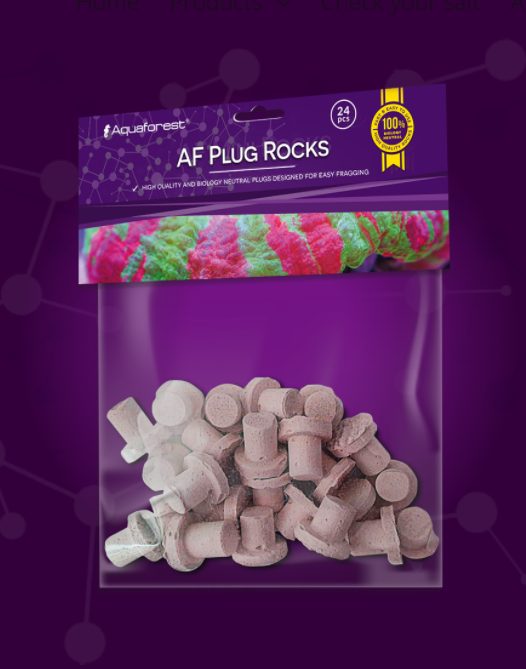 AF_Plug_Rocks_Purple