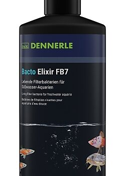 Bacto Elixier FB7 500ml