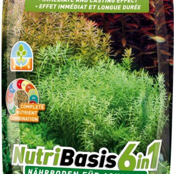 Nutri Basis 6 in 1 4.8kg