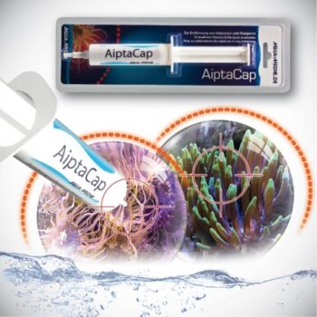 AiptaCap