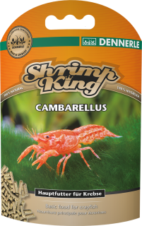 6078_ps_i2_shrimpking_cambarellus