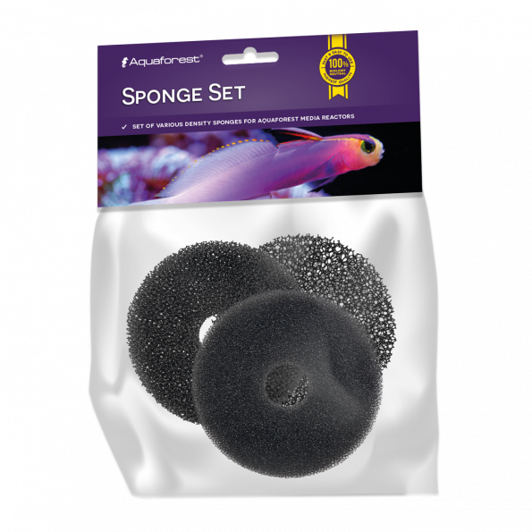 Sponge-Set_MOCKUP