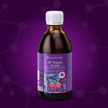 AF Power Elixir 1000 ml