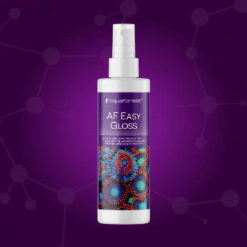 AF Easy Gloss