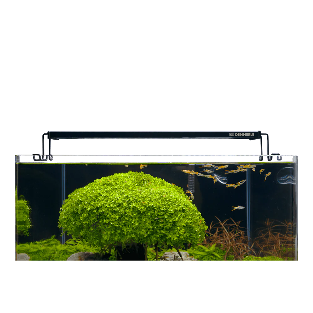 1473__2TrocalFlat35b